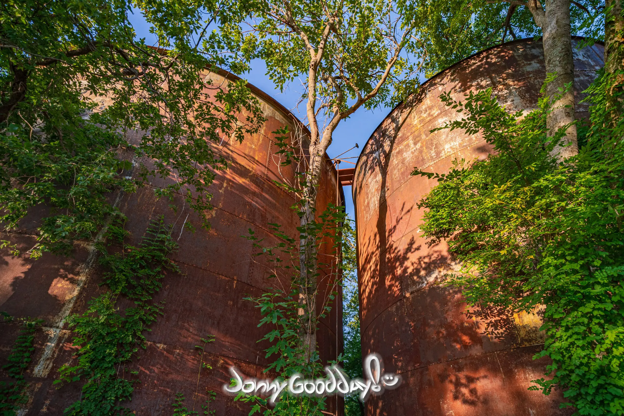 Rusting grain silos surrounded by trees at the Old Mill in Rhome