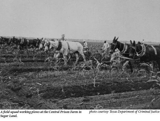 Historic field squad working within a prison farm system